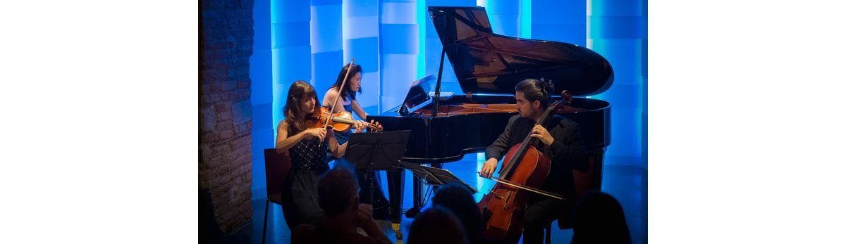 Wiener Ensemble: Concerts at Mozarthaus Vienna · Mozarthaus Vienna